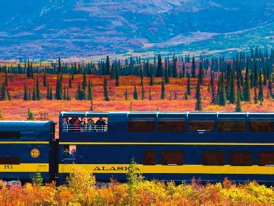 Alaska Train Tours with Denali Icebergs & Bears