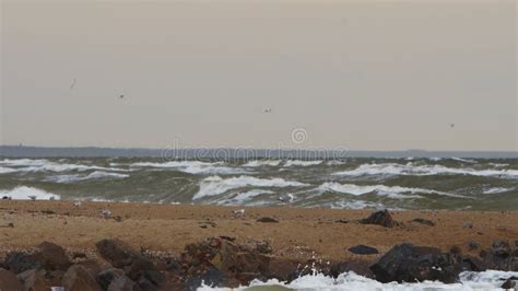 Choppy Sea Waves Crash On Sandy Shore With Birds Flying Over Stormy