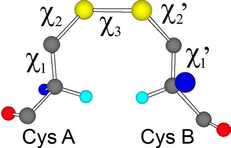 An Example Of A Disulfide Bond Conformation G′gg′ Between Two