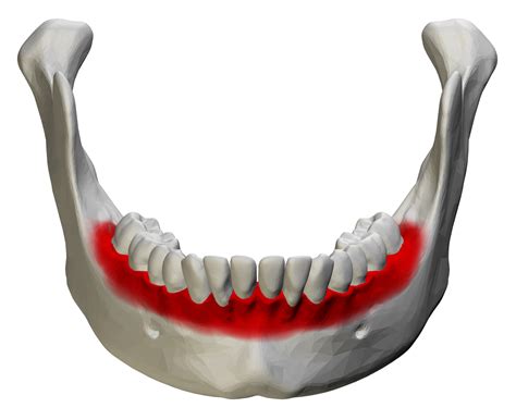 Alveolar Ridge Soft Tissue Preservation Techniques National Elf Service