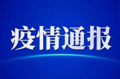 31省份新增确诊病例349例 其中本土病例303例新浪湖北新浪网