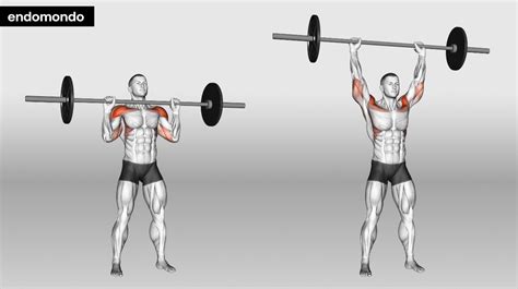 Shoulder Workouts For Men: Bulk Up Safely In 2025