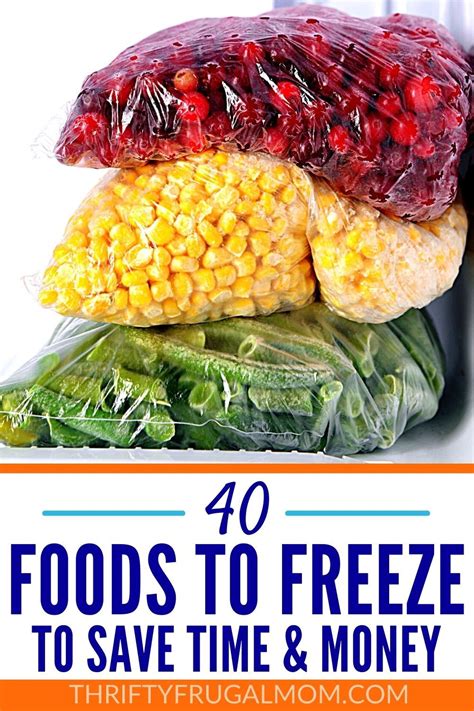 Foods To Freeze To Save Time And Money Frozen Meals Freezing Food