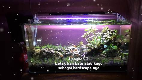 Cara Membuat Aquascape Untuk Pemula YouTube