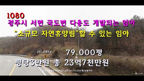 번호 1080 경주시 서면 국도변 다용도 개발되는 임야 급매물 Youtube