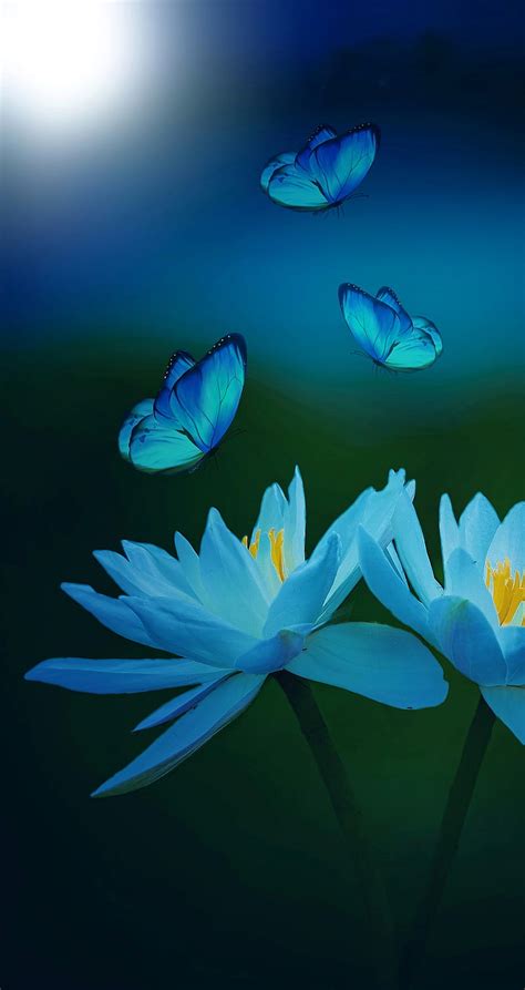 Blue Lotus Flower Wallpaper