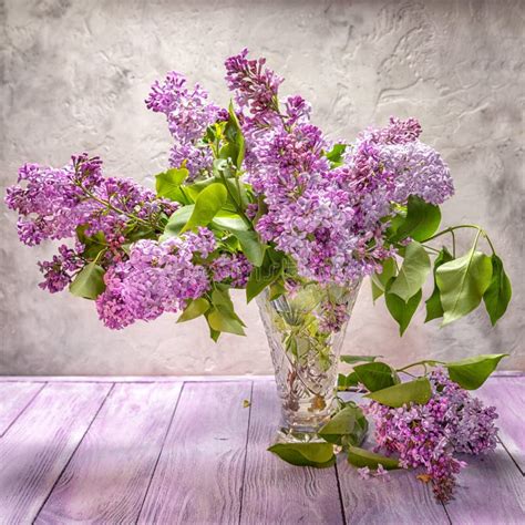 Lilacs Stock Photo Image Of Lilac Bouquet Lilacs Flower 93884154