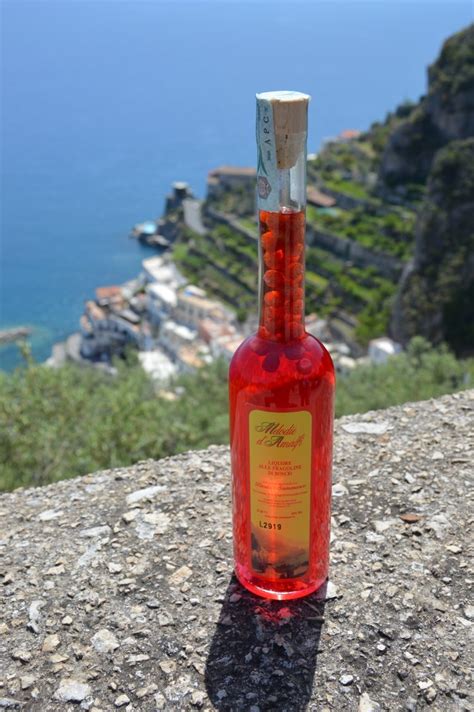 Liquore Alle Fragoline Di Bosco Cl 50 Casa Vinicola Ettore Sammarco