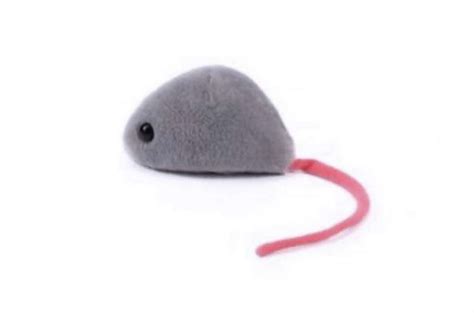 Help Me Gind This Mouse Pls 😭 R Helpmefind