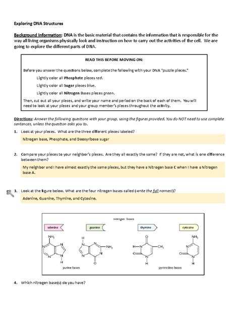 Dna Structure Assignment For Exploring Dna Exploring Dna Structures