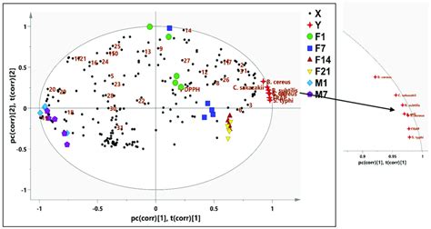 The Biplot Obtained From Pls Describing The Correlation Between The Download Scientific Diagram