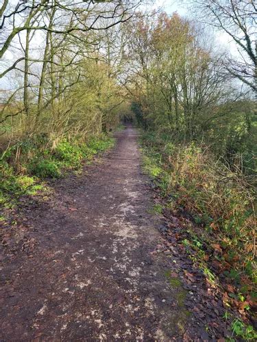 Best Wildlife Trails In Biddulph Grange Country Park Alltrails