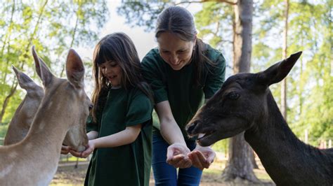 New Forest Wildlife Park Ashurst Hampshire