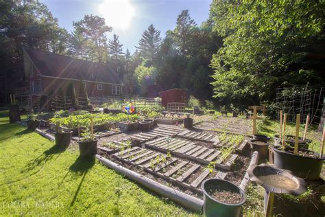 tips tricks    lawn  tamara  camera