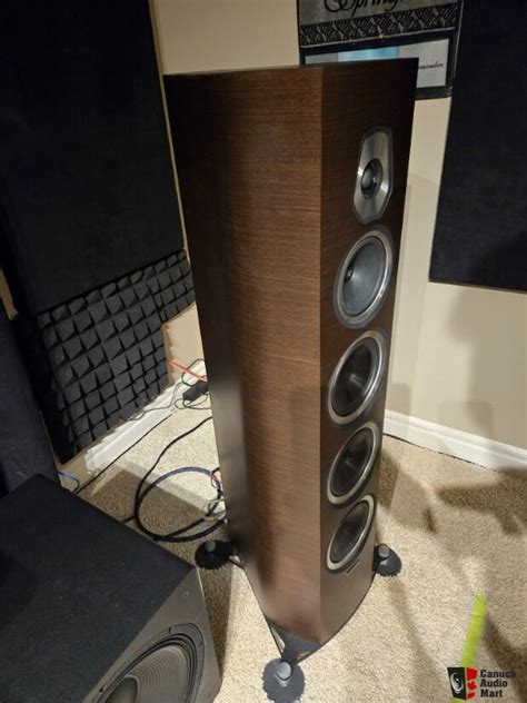 Sonus Faber Sonetto Viii Photo Us Audio Mart