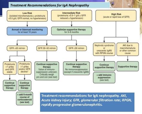 Ig A Nephropathy Cresentric By Dr Shami Skims