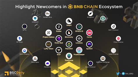 Bscdaily On Twitter Highlight Newcomers In Bnbchain Ecosystem