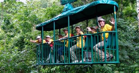 From San Jose Braulio Carillo National Park Rainforest Tram GetYourGuide