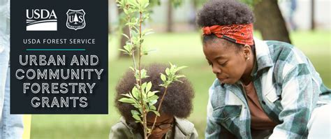 Casey Trees Receives Usda Urban And Community Forestry Grant