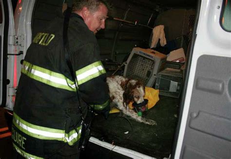 2 Cats Die 2 Dogs Saved In Fairfield Fire