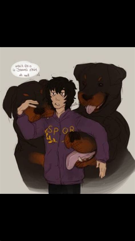 Cerberus Percy Jackson