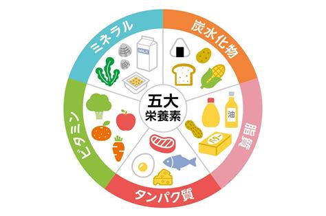 毎日のごはんづくりに活かしたい、【五大栄養素】について知ろう！ キッコーマン ホームクッキング