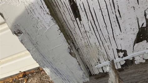 Repair Wood Siding Dry Rot At Richard Flores Blog