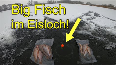 Passt Der Fisch Durch Das Eisloch Angeln Mit K Derfisch Und Pose Auf