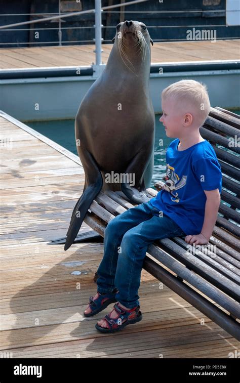 Blonde behaarte junge Fotos und Bildmaterial in hoher Auflösung Alamy