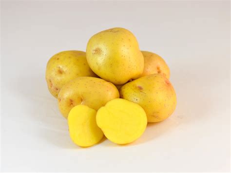 Yellow Potato Varieties