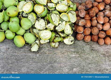 Nozes Da árvore Nozes De Casca Verde Nozes De Casca Verde Imagem de