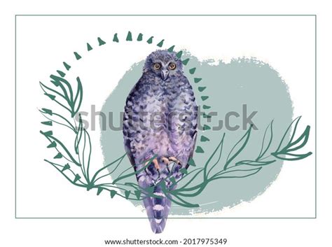 Australian Bird Isolated On White Background Shutterstock