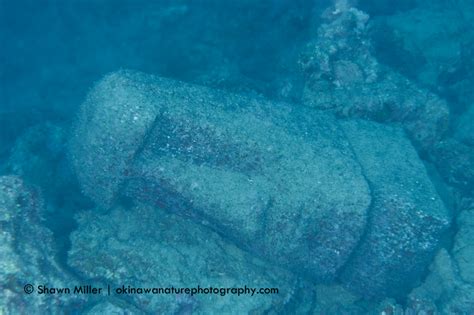 Moai Statue Found Underwater, Okinawa-Japan | Okinawa Nature Photography