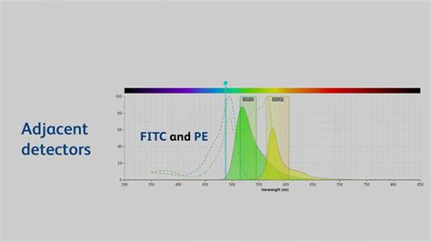 Multicolor Flow Cytometry Panel Design - Design Talk