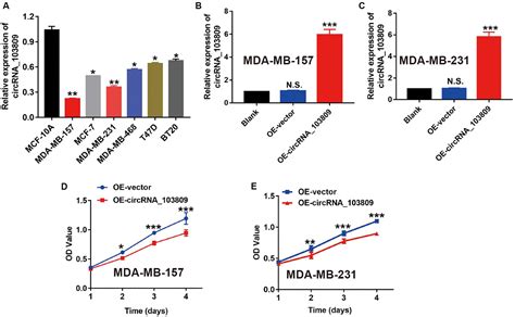 Frontiers Circrna Suppresses The Proliferation And Metastasis