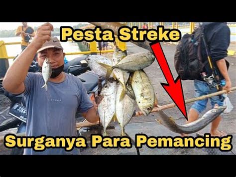 Pesta Streke Bertubi Tubi Sampai Kewalahan Di Spot Andalan Pelabuhan