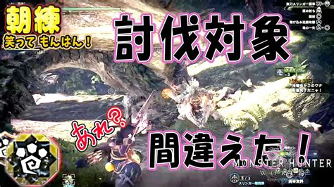 【mhw】hr29 おばぁハンターの朝練 討伐対象間違えた！ Youtube