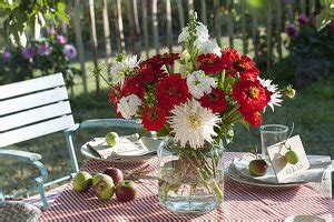 Gedeckter Tisch Unterm Baum Im Garten Bild Kaufen