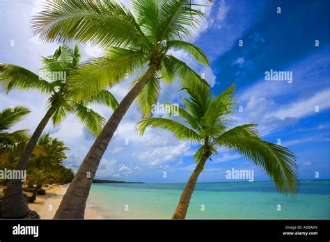 Bavaro Beach, Dominican Republic Stock Photo - Alamy