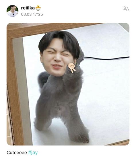 ENHYPEN WEVERSE on Twitter 정원s Reply 230303 OP Cuteeee jay