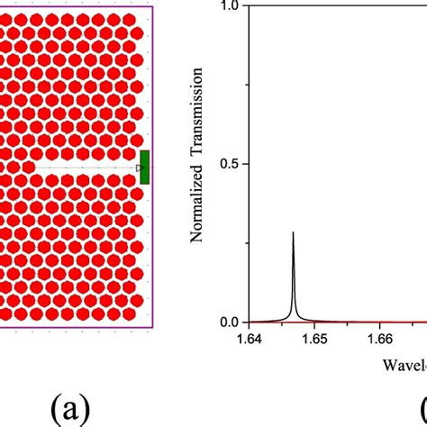 A Structure Model Of The First Biosensor Based On A Microcavity