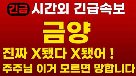 금양 전망 시간외긴급속보 금양금양전망금양주가금양주가전망금양주식배터리 Youtube