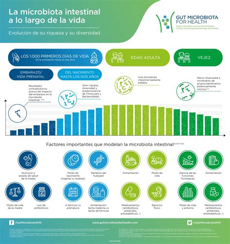 Descubra La Evoluci N De La Microbiota Intestinal A Lo Largo De La Vida