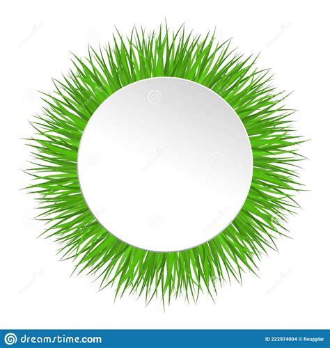 Circle Frame With Green Grass Fresh Spring Summer Grass Eco Friendly