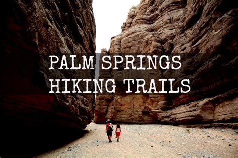 Palm Springs Hiking Trails | Outside the Cage