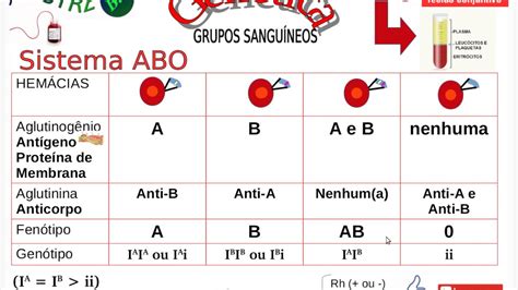 Tipos Sanguineos Que Nao Podem Ter Filhos Juntos Librain