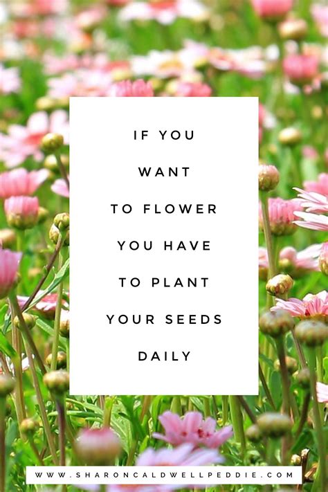 Growing Plants Quotes Shortquotes Cc