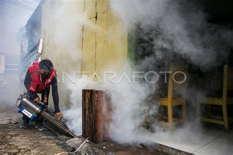 Pengasapan Cegah Dbd Di Tangerang Antara Foto