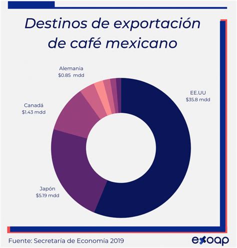 Exportaci N De Caf Mexicano