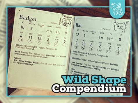 the wild shape compenium is open on a table with an image of a cat